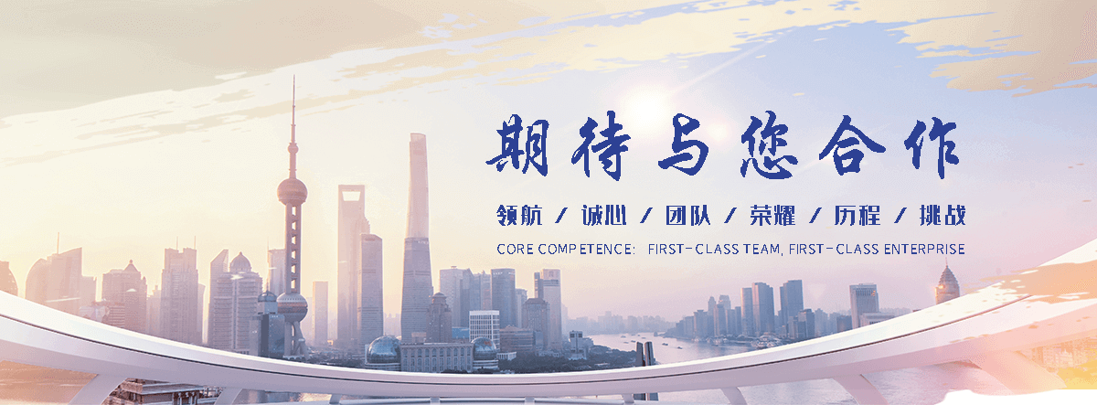 定西海狮租赁公司